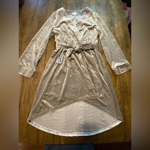Mia Joy Champagne Velvet Long Sleeve Dress Size Small B20